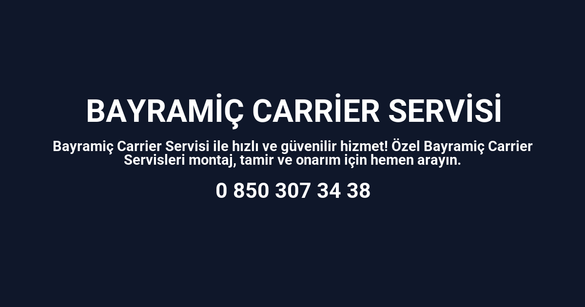 Bayramiç Carrier Servisi